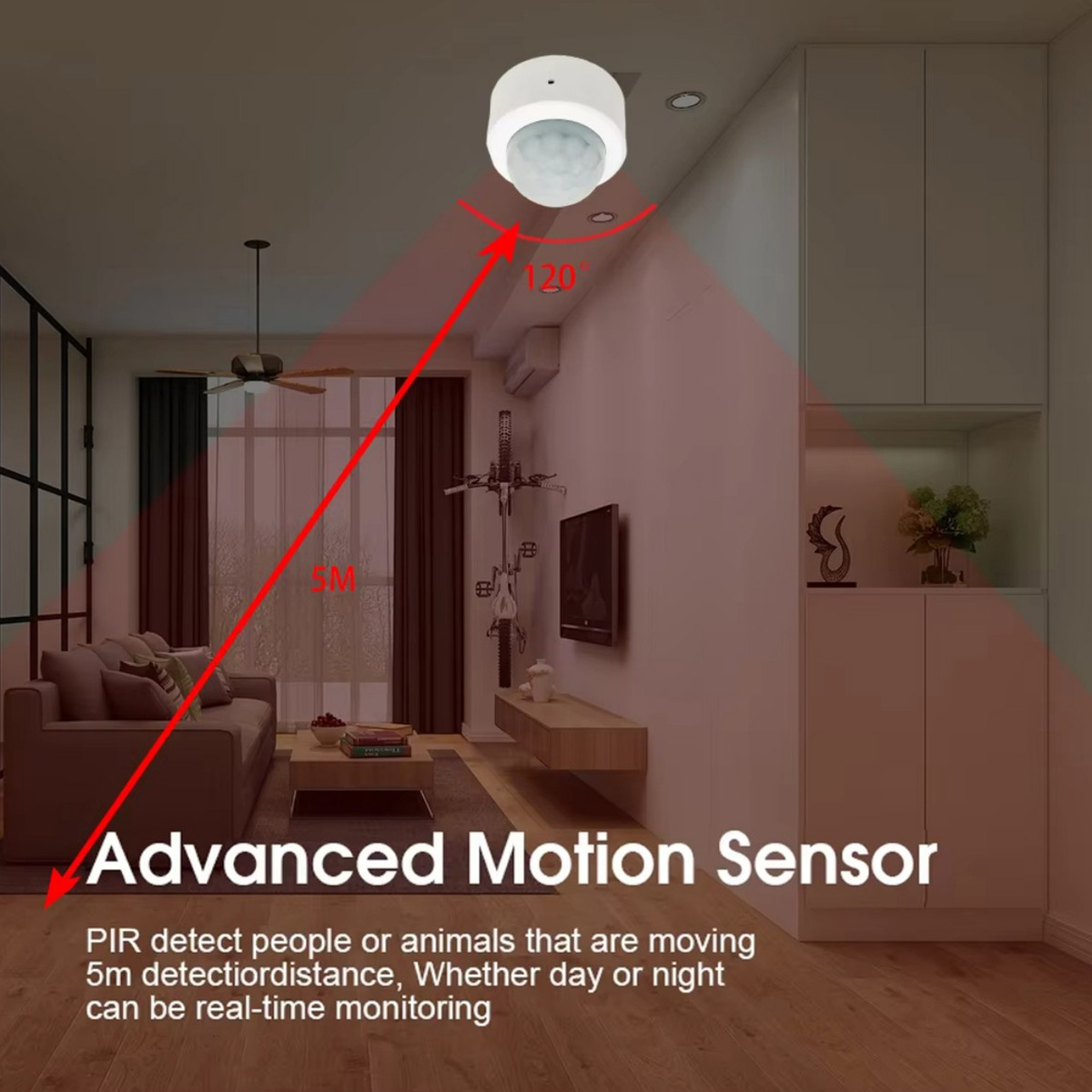 Zigbee PIR-Bewegungssensor, In – Zigbee Motion Sensor Bewertung und Preis