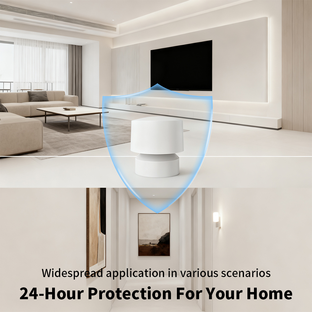 Zigbee- oder WiFi-Smart-Anwese – Zigbee Motion Sensor Bewertung und Preis