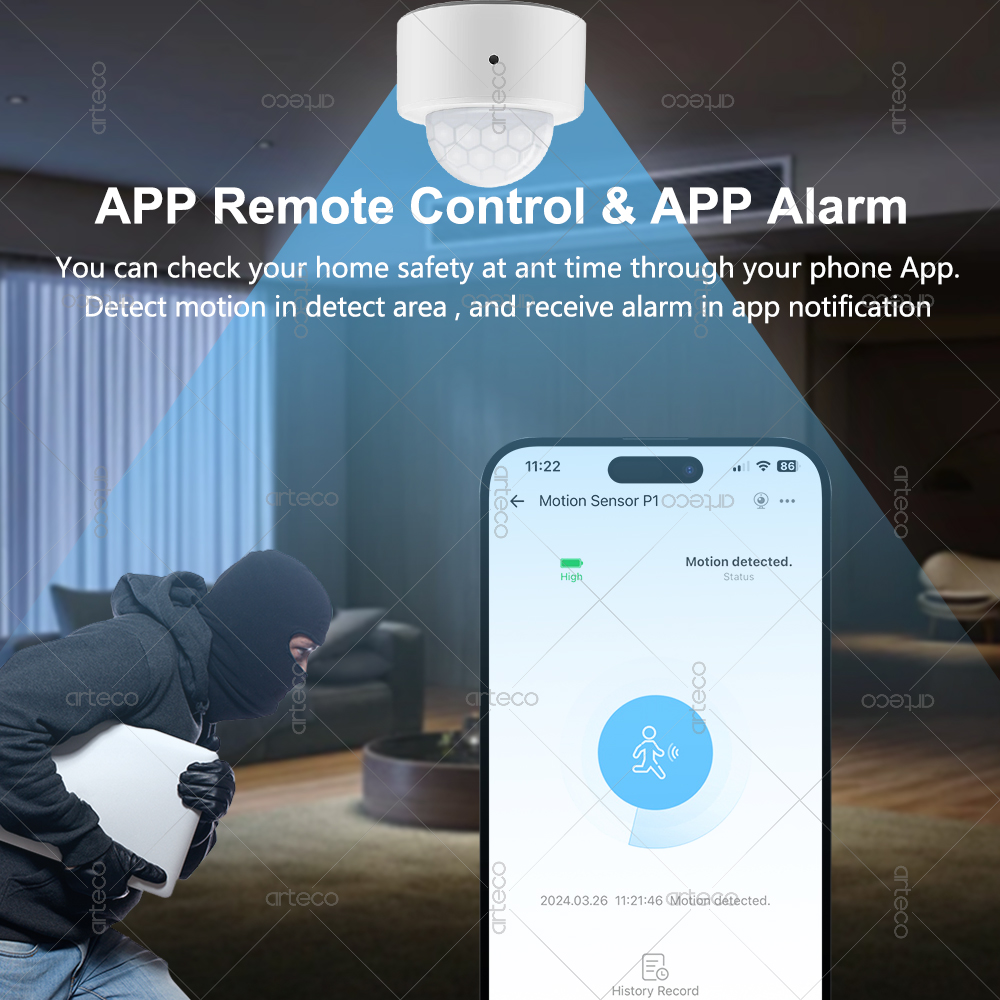 Ewelink Zigbee PIR-Bewegungsse – Zigbee Motion Sensor Bewertung und Preis