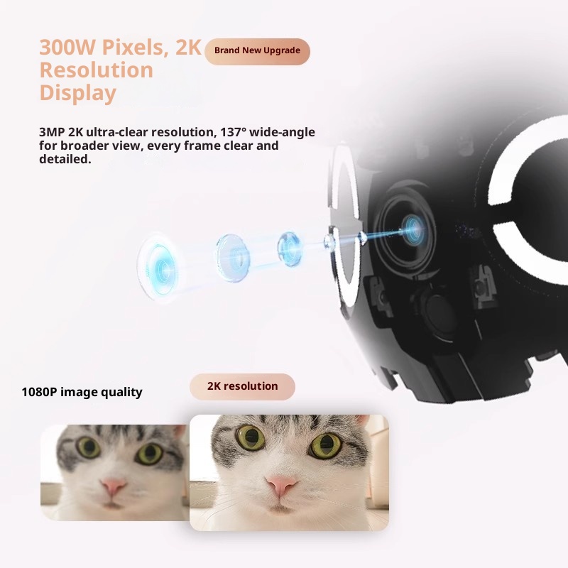 Enabot ROLA Mini Smart Robot I – Smart Home Simple Bewertung und Preis