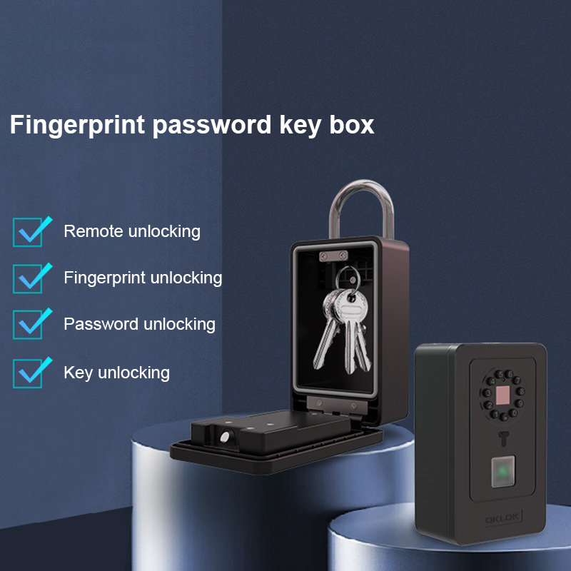 Intelligentes Vorhängeschloss  – Smart Home Box Bewertung und Preis