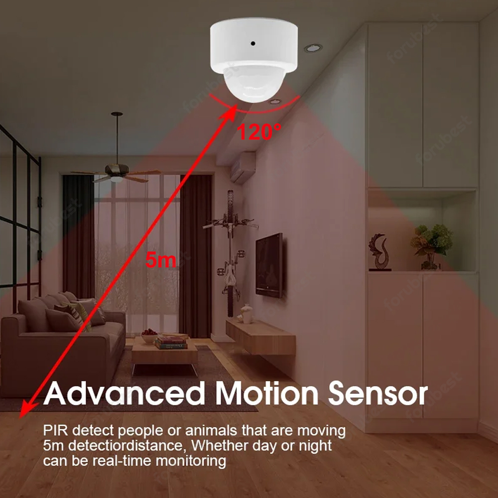 Zigbee 3.0 menschlicher Bewegu – Zigbee Motion Sensor Bewertung und Preis