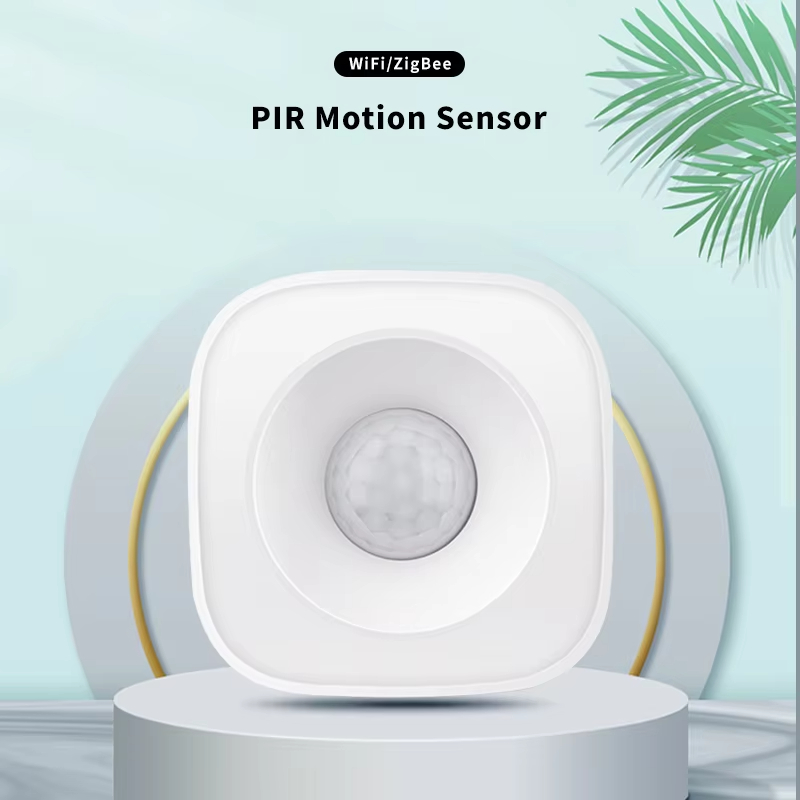 Tuya ZigBee/WiFi PIR Motion Se – Zigbee Motion Sensor Bewertung und Preis
