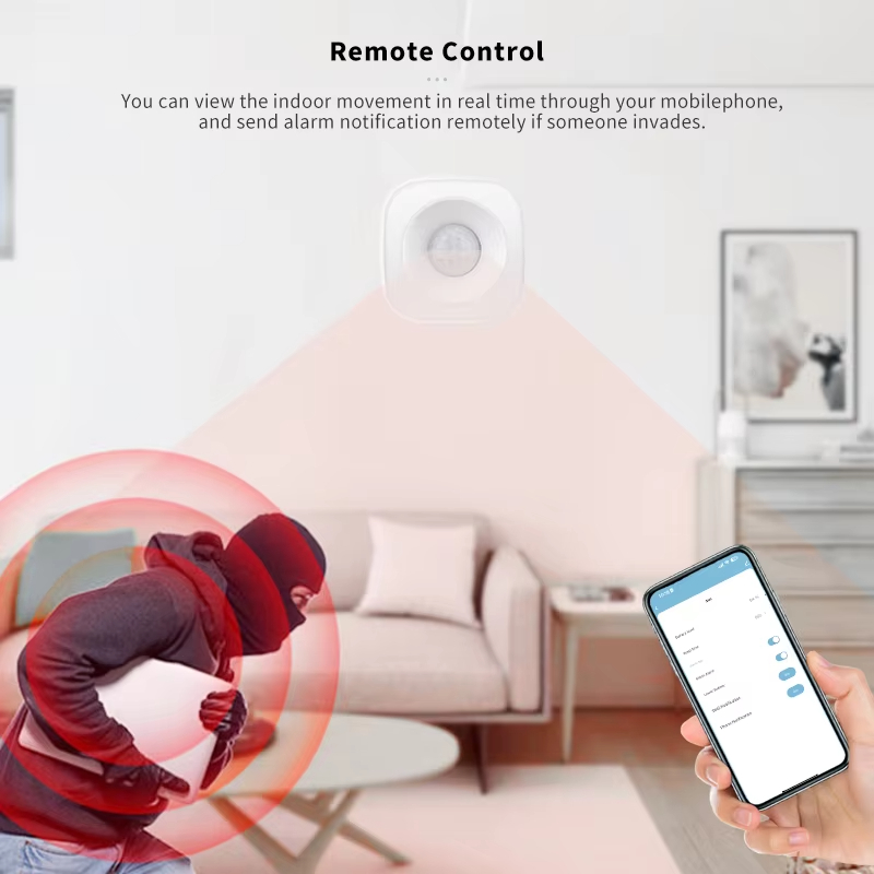 Tuya ZigBee/WiFi PIR Motion Se – Zigbee Motion Sensor Bewertung und Preis